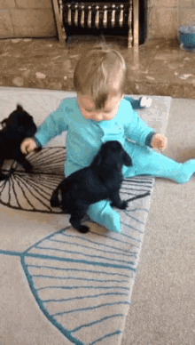 Puppy Baby GIF - Puppy Baby Hug GIFs
