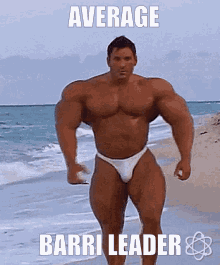 Average Barri GIF - Average Barri Leader GIFs