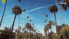 Los Angeles California Bustle GIF - Los Angeles California Bustle Rodeo Drive GIFs