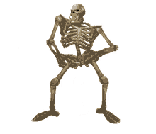 jones skeleton