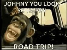 Monkey Road Trip GIF - Monkey Road Trip You Look So Happy GIFs