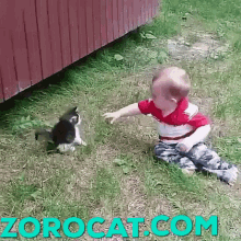 Babby Cat Cat Paly With Babby GIF - Babby Cat Cat Paly With Babby GIFs
