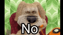 Dog Saying No Ben No GIF - Dog Saying No No Ben No GIFs