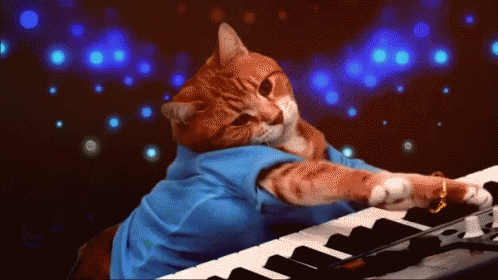 cats-piano-disco.gif