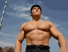 Arnold Schwarzenegger Muscles GIF - Arnold Schwarzenegger Muscles Pecs GIFs
