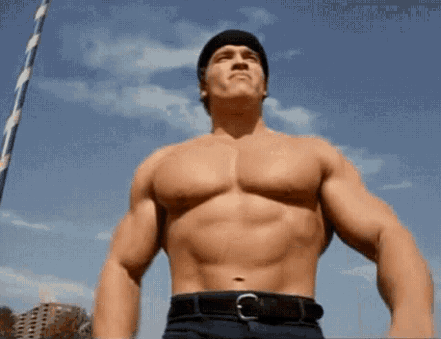 Schwarzenegger desnudo arnold Conoce AQUÍ