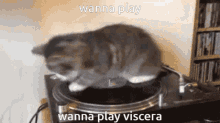 Viscera Cleanup Detail Wanna Play Viscera GIF - Viscera Cleanup Detail Viscera Wanna Play Viscera GIFs