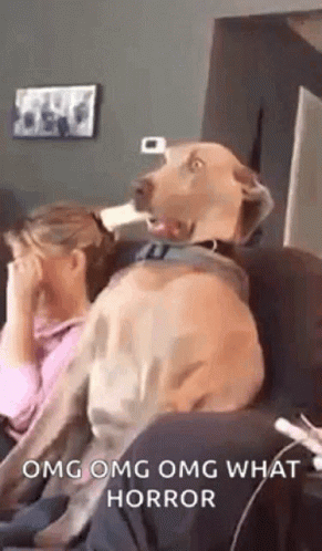 Incomodo En Problemas GIF - Incomodo En Problemas Oh No GIFs