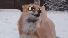 kekeflip fox