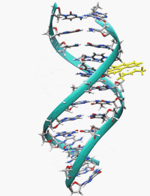dna spinning structure