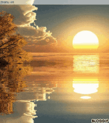 Sun Rise GIF - Sun Rise Reflection GIFs