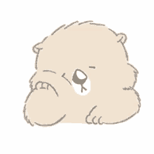polar bear bear sleeping tired waiting