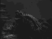 anguirus the