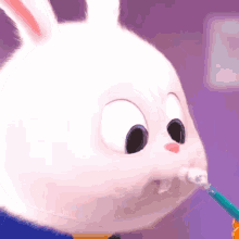 good night brush teeth bedtime bunny funny good night brush teeth bedtime bunny funny