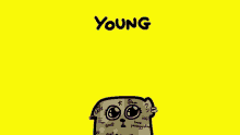 Scottex Young GIF - Scottex Young Cagnolino GIFs
