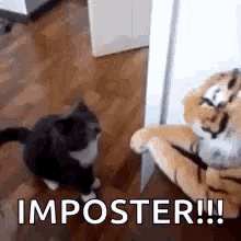 Imposter Fraud GIF - Imposter Fraud Beat GIFs