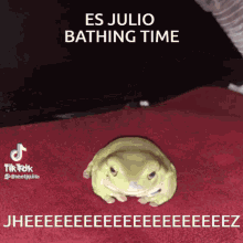 Es Julio Bathing Time Frog GIF - Es Julio Bathing Time Frog Bathing GIFs