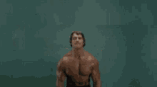 Arnold Pussies GIF - Arnold Pussies Gym GIFs