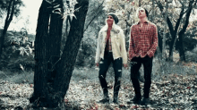 Flowers Woods GIF - Flowers Woods Forest GIFs