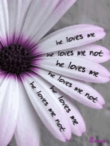 Love I Love You GIF - Love I Love You He Loves Me He Loves Me Not GIFs