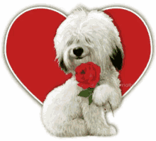 Valentines Day Dog Heart GIF - Valentines Day Dog Heart Roses GIFs