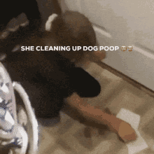 Dog Poop GIF - Dog Poop Twitter GIFs