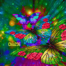 You Are Beautiful Chia236 GIF - You Are Beautiful Chia236 Lets Go GIFs
