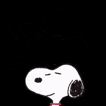 Snoopy Thank You Gifs Tenor