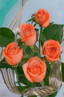 Orange Roses GIF - Orange Roses GIFs