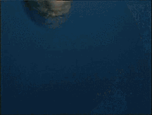 Underwater Upside GIF - Underwater Upside Down GIFs