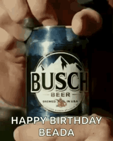 Busch Beer GIF - Busch Beer GIFs