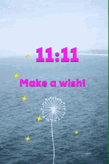 1111 wish make a wish