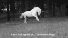 I Do Unicorn Things GIF - I Do Unicorn Things Unicorns Running GIFs