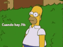 Homers Mumu GIFs | Tenor