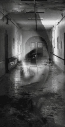 haunted ghost adria filter transparent