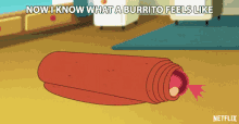Now I Know What A Burrito Feels Like Squished GIF - Now I Know What A Burrito Feels Like Squished Rolled Up GIFs