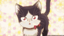My Roommate Is A Cat Anime Cat GIF - My Roommate Is A Cat Anime Cat GIFs
