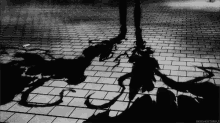 shadow monster smoke man shadow monster smoke man