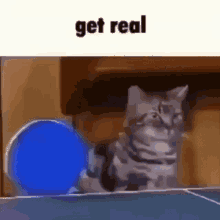 Get Real Caption GIF - Get Real Caption Roblox GIFs