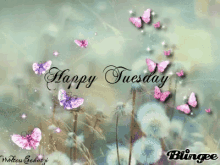happy tuesday