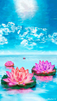 Wallpaper Tumblr Gif Water And Lotus 3d Image Num 77