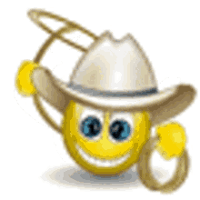 Cowboy Lasso GIF - Cowboy Lasso Smile GIFs