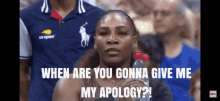 Youowemeanapology Serena GIF - Youowemeanapology Serena Williams GIFs