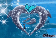 I Love You Dolphins GIF - I Love You Dolphins GIFs