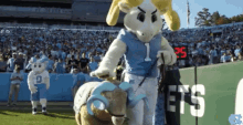 North Carolina GIF - North Carolina Ram Mascot GIFs