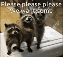 Please Please We Want Some GIF - Please Please We Want Some GIFs