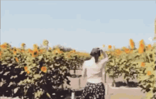 Kebun Bunga Matahari GIF - Ada Maling Bunga Matahari GIFs