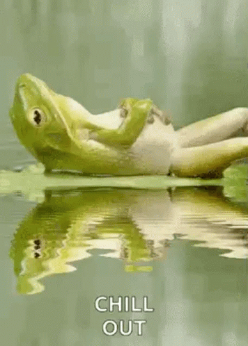 Frog Chill GIF - Frog Chill GIFs