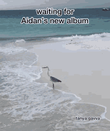 Aidan Gallagher Aidans Army GIF - Aidan Gallagher Aidans Army Lemon Cult GIFs