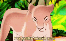 Ive Really Missed You Lion King GIF - Ive Really Missed You Lion King Nala GIFs